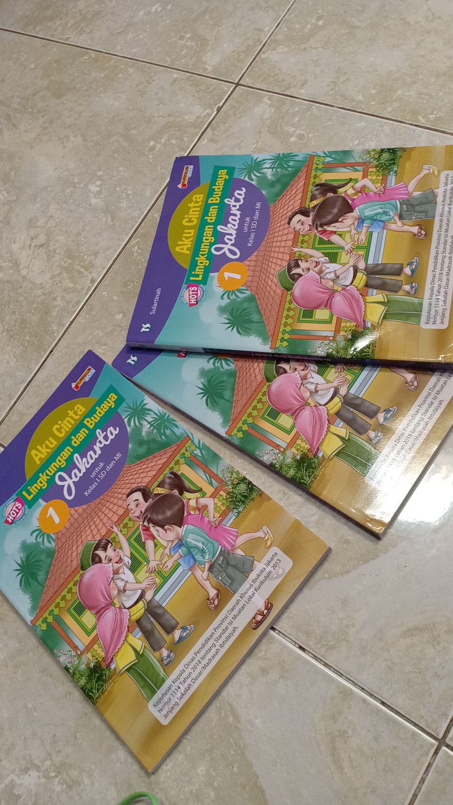 Kepala dinas pendidikan provinsi dki jakarta melalui keputusan dinas (kepdis) no. Aku Cinta Lingkungan Dan Budaya Jakarta Plbj Shopee Indonesia