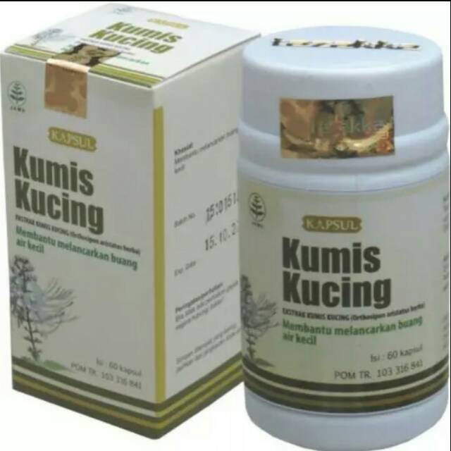 Obat Herbal Khasiat Ampuh Melancarkan Buang Air Kecil Dan Batu
