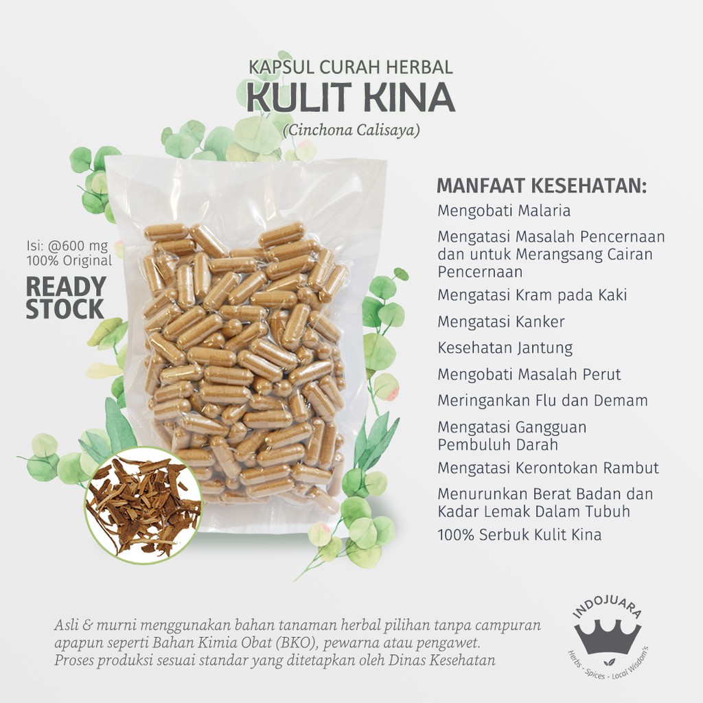 Jual KULIT KINA Kapsul Curah Herbal Malaria Flu Demam Rambut Rontok Jantung  Indonesia|Shopee Indonesia
