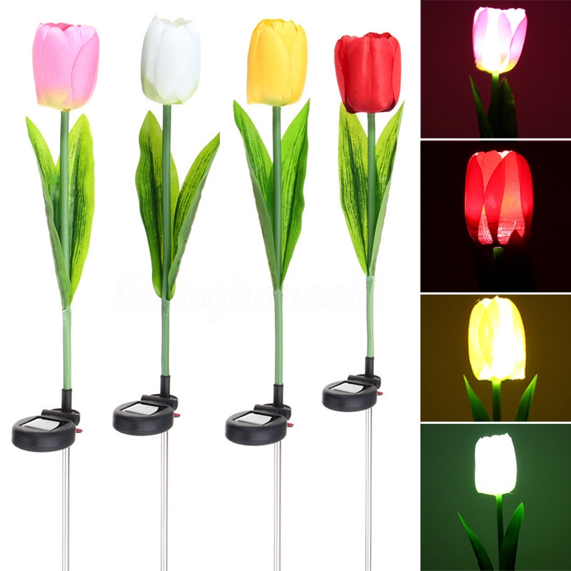 Gratis Download Gambar Blooming Tulips In Spring 4k Ultra HD Gratis Gratis Wallpaper Background Image Terkeren by Lampunghits.com