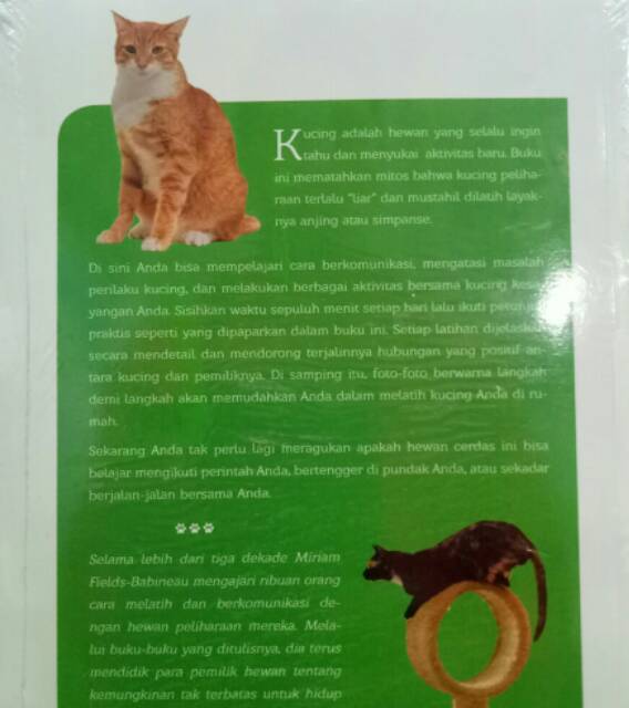 Dapatkan Gambar Bagaimana Anda Boleh Memanggil Kucing Julukan Yang Paling Biasa Terbaru by www.lampunghits.com