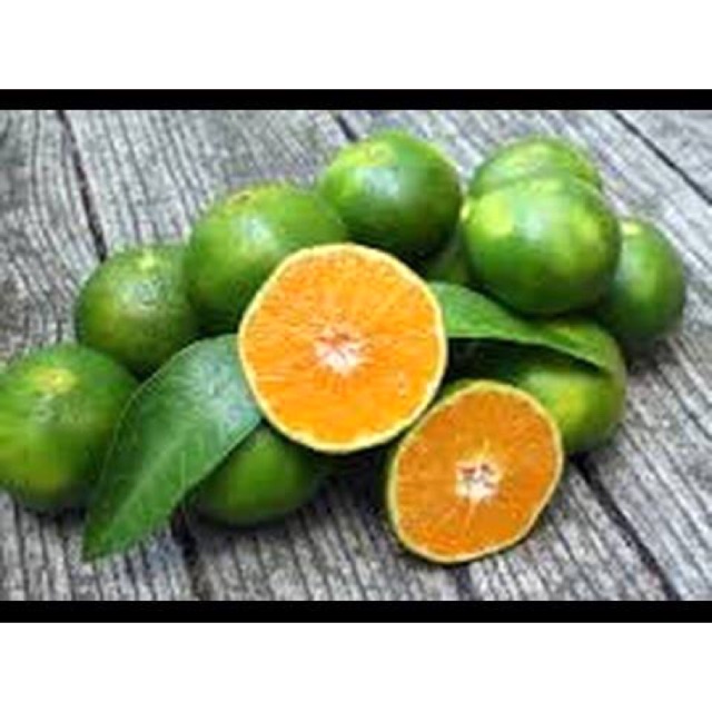 3 baby kol / cuciwis 1kg rp. Jeruk Peras Fresh Segar Ijo Kiloan Pasar Murah Jakarta Shopee Indonesia