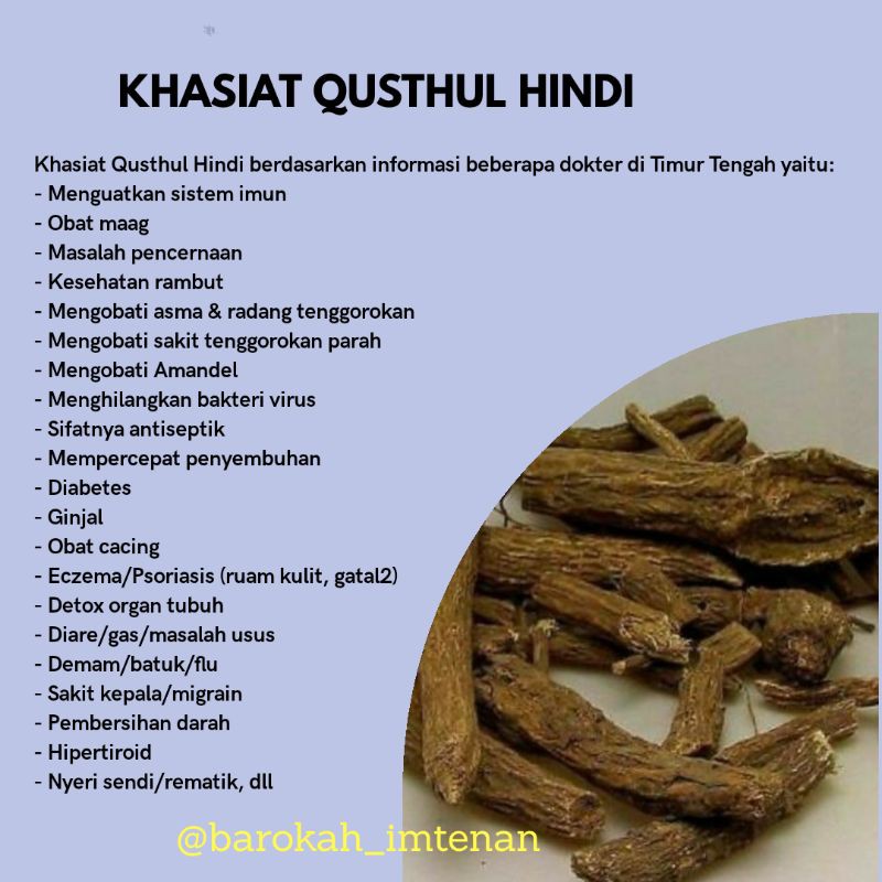 Jual Qusthul Hindi Powder Original 100g Qust Al Hindi Qust Al Bahri Costus Powder Qusthul Hindi Di Lapak Rhcstore 