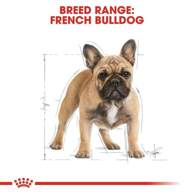25% off (3 days ago) royal canin coupons &amp; Royal Canin French Bulldog Adult 3kg Rc Makanan Anjing Shopee Indonesia
