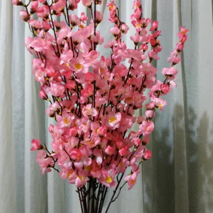 Unduh Gratis Gambar Berita Bunga Sakura Hari Ini Kabar Terbaru Terkini Liputan6 Gambar Gratis Terkeren oleh Lampunghits.com