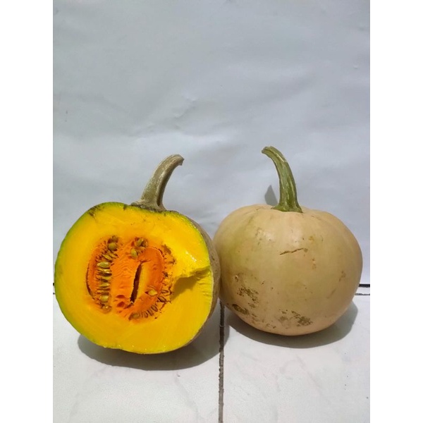 Harga Waluh Ketan Terbaru Oktober 2021 | BigGo Indonesia