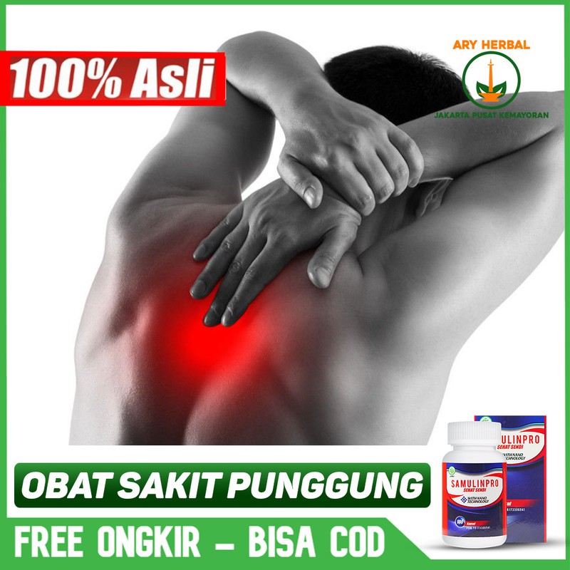 Apa itu sakit tulang belakang? Obat Sakit Punggung Nyeri Punggung Belakang Atas Alami Herbal Samulinpro Sehat Sendi Original Shopee Indonesia