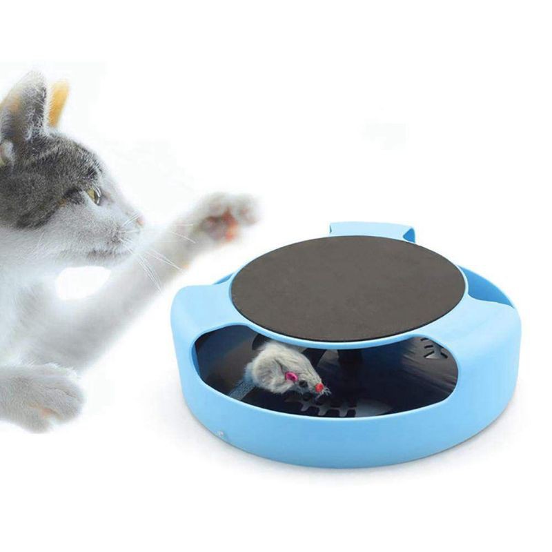Unduh Gratis Gambar Kocak Kucing Dan Tikus Berantem Tom Jerry Sungguhan Youtube Terupdate oleh Lampunghits.com