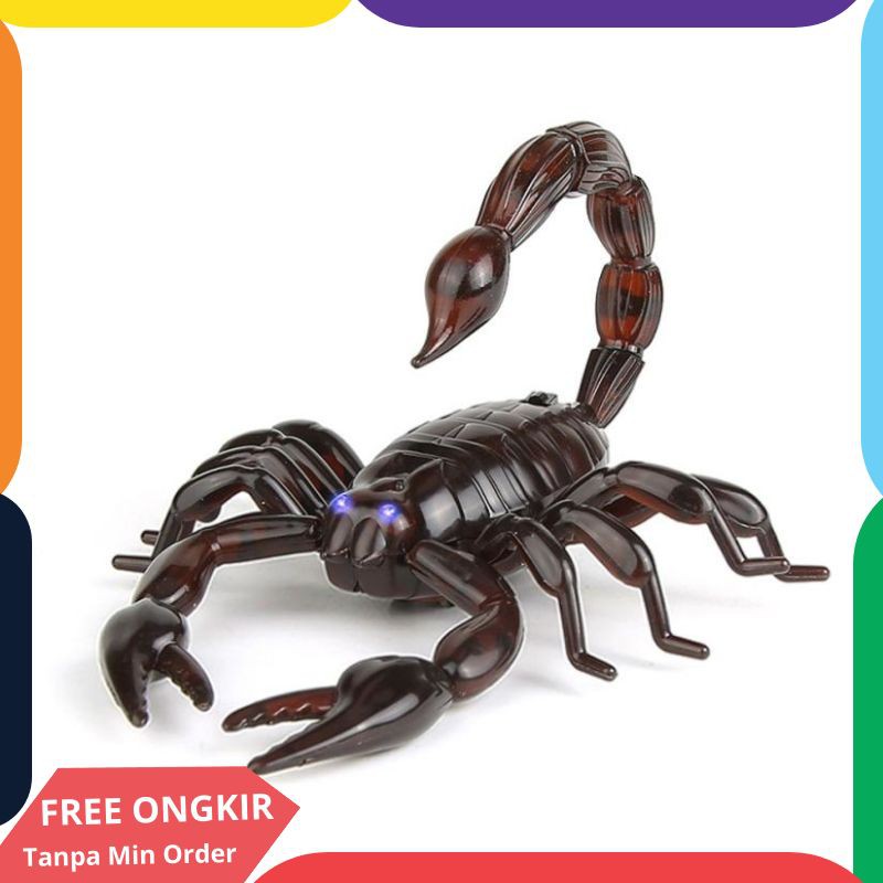 Gratis Unduh Gambar Mengenal Kutu Busuk Dan Dampak Yang Diakibatkannya Terupdate oleh www.lampunghits.com