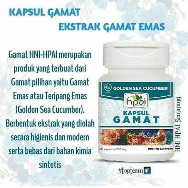 Gamat Hpai Gamat Hni Obat Sakit Pinggang Obat Sendi Shopee