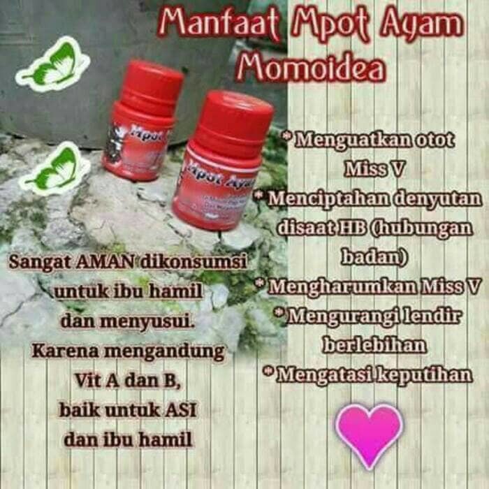 Diskon ongkos kirim hanya dengan belanja min. Asli 100 Original Empot Ayam Mpot Ayam Mpot Momo Mpot Momoidea Empot Momo Isi 50 Shopee Indonesia