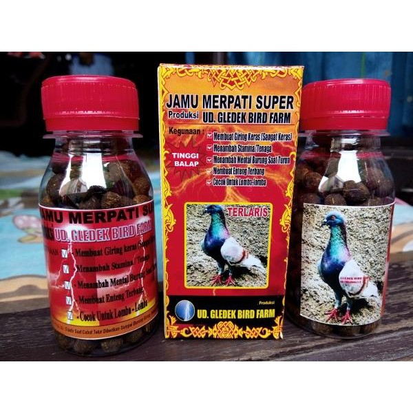 Susah bertelur meningkatkan hormon merpati obat merpati doping merpati jamu. Jamu Merpati Super Kolong Shopee Indonesia