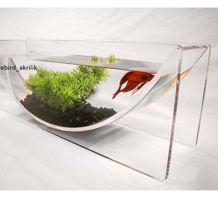 Namun, banyaknya wadah ikan cupang dengan berbagai ukuran yang dijual di pasaran membuat lantas berapakah ukuran akuarium ikan cupang yang paling terbaik dan sesuai untuk digunakan? Aquarium Unik Ikan Cupang - Model Aquarium Toples Unik ...