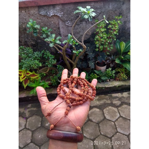 Harga Tasbih Biji Bidara Arab Terbaru Oktober 2021 | BigGo Indonesia