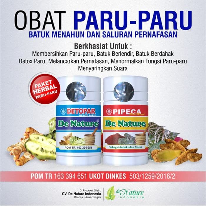 Obat Untuk Penyakit Paru Paru Tbc Ispa Batuk Menahun Herbal De