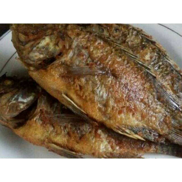 Gratis Download Gambar Resep Ikan Mujair Goreng Panduan Rahasia Cara Membuat Ikan Terkeren by Lampunghits.com