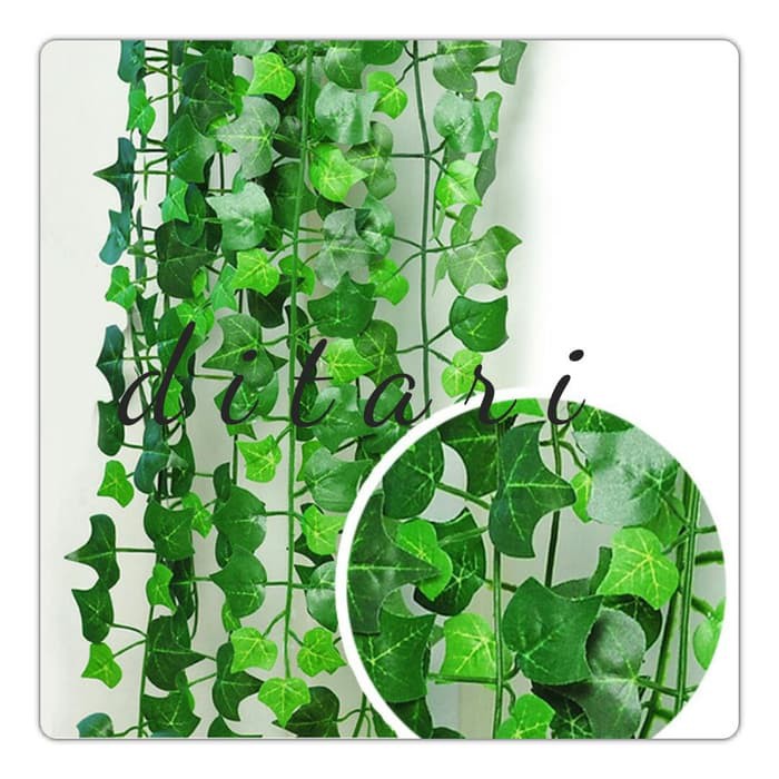Daun Rambat Bunga Plastik Palsu Hias Artifisial Dekorasi Dinding Best  Quality | Shopee Indonesia