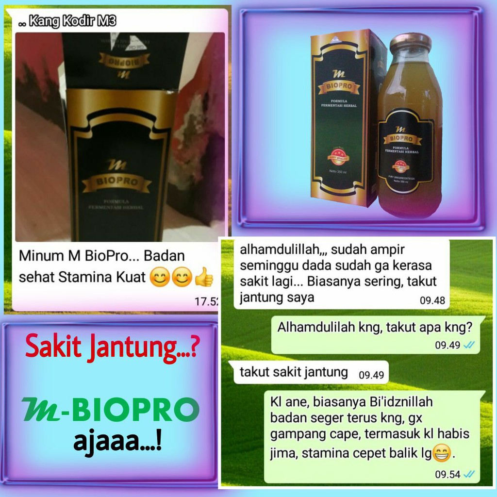 Obat Herbal Alami Solusi Sakit Jantung Dengan Mbiopro Shopee