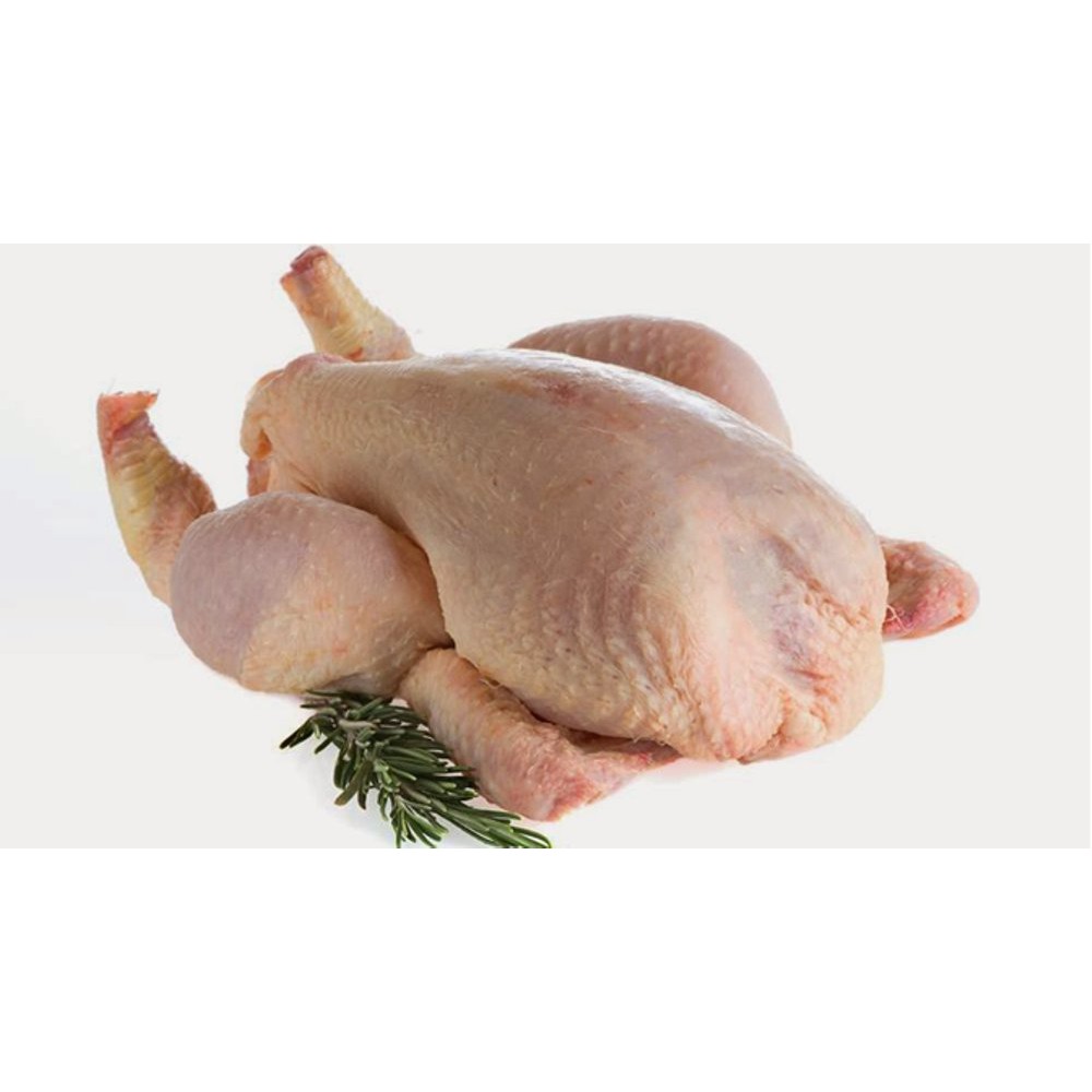 Free Gambar Curi 400 Ekor Ayam Mentah Jual Semula Pada Orang Ramai Gratis Terbaru Sebenar Terupdate by Lampunghits.com