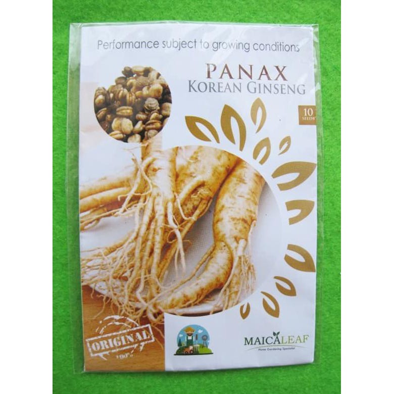 Lebih baik mengobati dengan herbal, akar ginseng kering yang direbus agar empuk. Produk Termurah Benih Korean Ginseng Maica Leaf Pack 10 Seeds Barang Berkualitas Shopee Indonesia