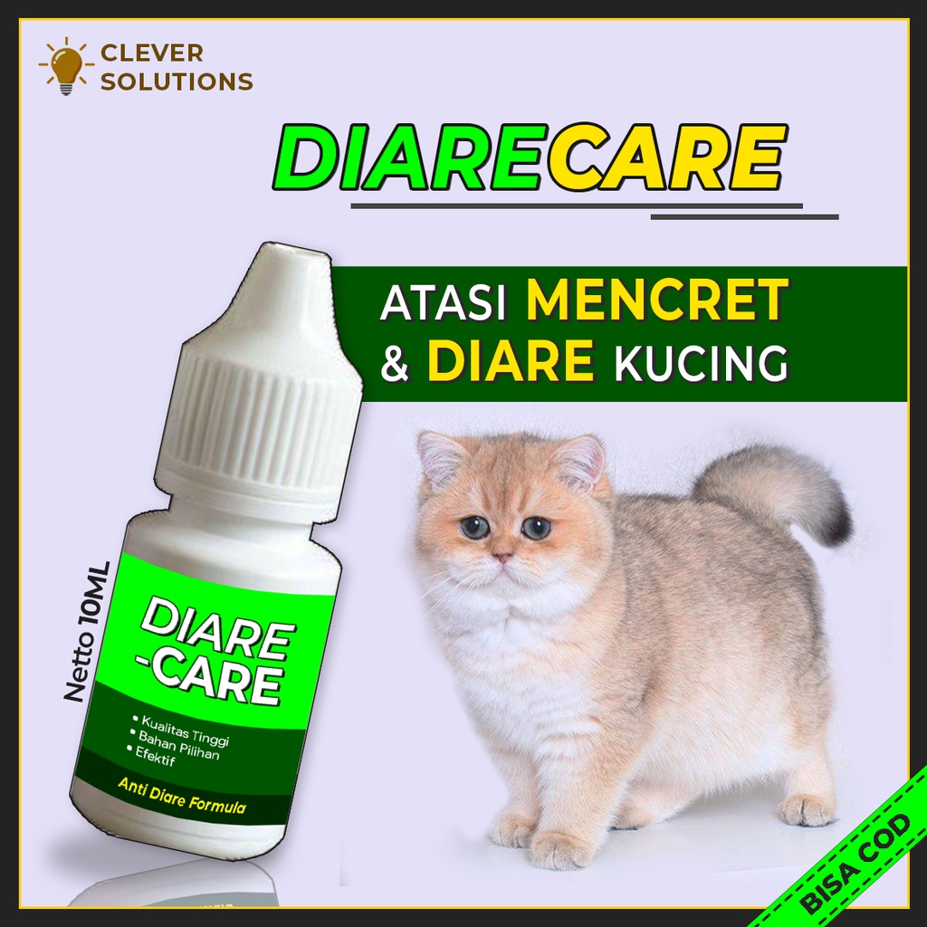 Setelah kucing muntah, cobalah untuk . Jual Obat Diare Kucing Diare Care Obat Anti Diare Mencret Berak Darah Gangguan Pencernaan Kucing Muntah Cat Kitten By Clever Solutions Primacat Prima Cat Olive Care Koinami Babah Cat House Vitamin Kucing Pakan