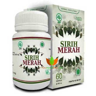 Kapsul Daun Sirih Merah Obat Asam Urat Diabetes Kolesterol Dll