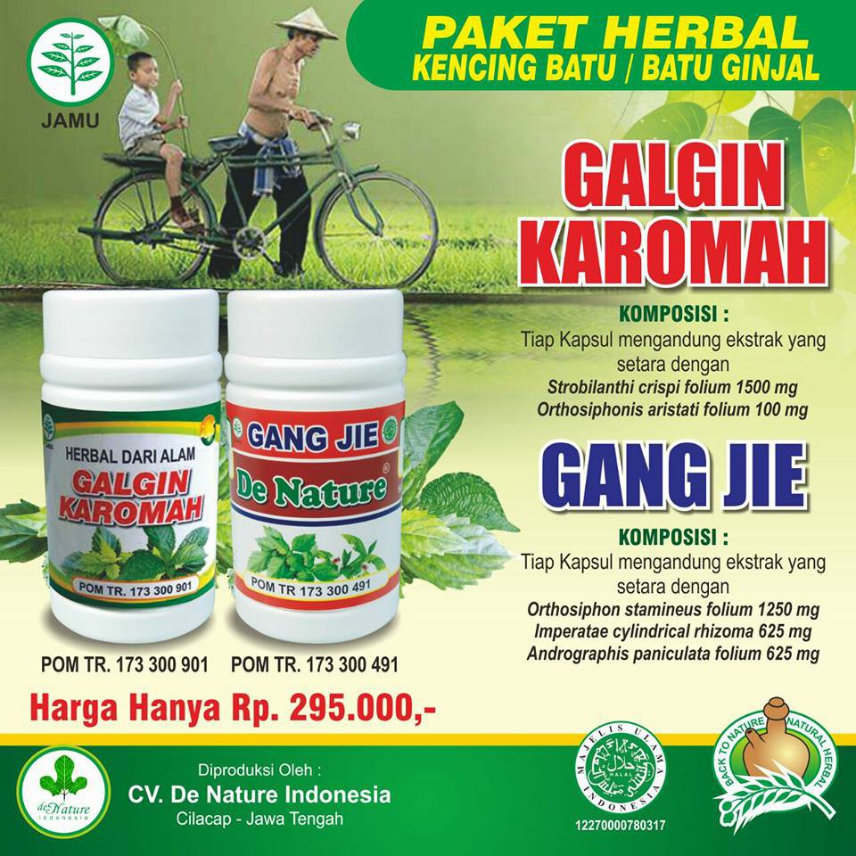 OBAT BATU GINJAL PENGHANCUR BATU EMPEDU &amp; KENCING BATU GALGIN DE NATURE  HERBAL | Shopee Indonesia