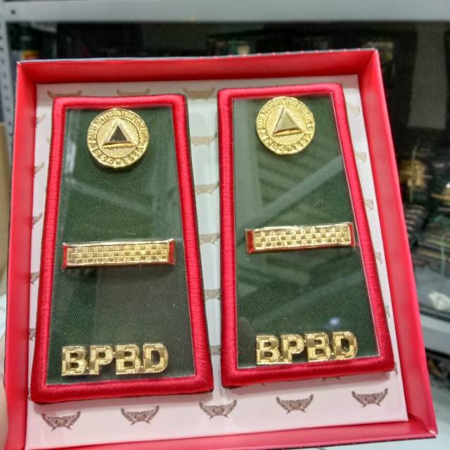 Pangkat Golongan Pns 3d 