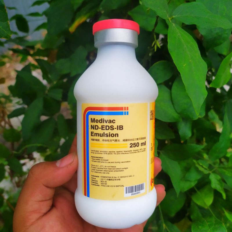 Jual Medivac Nd Eds Ib Emulsion 250ml Medion Kota Yogyakarta Sentra Unggas Yogyakarta 