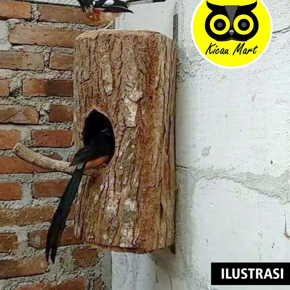 Jual Good Seller Glodok Ternak Murai Batang Pohon Gelodok Glodog Kayu Sarang Tempat Burung Kacer Cucak Te Indonesia|Shopee Indonesia 942_X_942_jpg