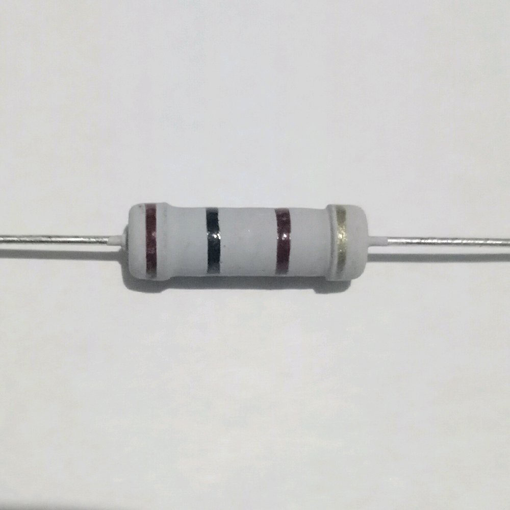 Stok Ready Resistor 100 100ohm 2w 2watt T Erbatas