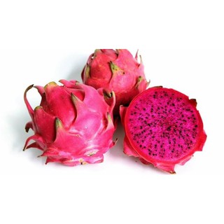 Sumardi, anggota kelompok tani berkah tani kelurahan kalampangan, kecamatan jekan raya kota palangka raya mengembangkan buah naga. Jual Buah Naga Dari Lahan Gambut Nan Segar Indonesia Shopee Indonesia