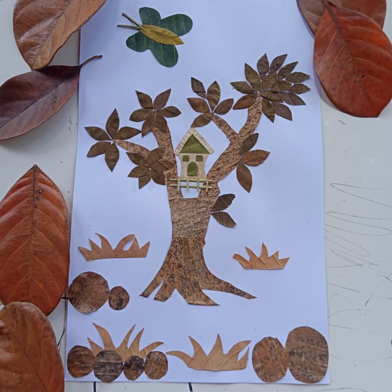 Harga Kolase Daun Kering Terbaru Januari 2022 | Biggo Indonesia 800_X_800_jpg