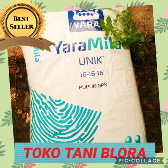 Dari tiga kali pemupukan tersebut, dalam satu musim tanam padi pada luasan 1 hektar membutuhkan pupuk urea (nitogen) 300 kg, sp36/tsp (phospor) 100 kg, . Jual Baca Deskripsi Pupuk Campur Lengkap Sesuai Permintaan 1kg Atau 1000gram Indonesia Shopee Indonesia
