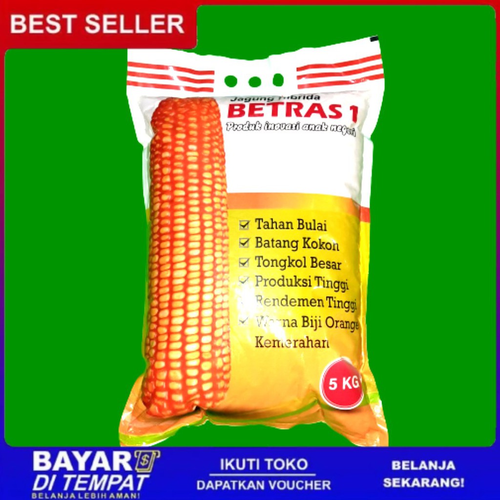 Kalau anda sedang mencari bibit unggul tumbuhan jagung yang berkualitas, anda bisa membeli bibit bibit jagung betras 1 terbaru jenis bisi 816. Jual Jagung Betras 1 Bintang Asia 5kg Benih Unggul Termurah Jagung Hibrida Indonesia Shopee Indonesia