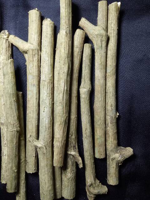 kayu manis berasal dari sri lanka. Kayu Telogosari Tlogosari Shopee Indonesia