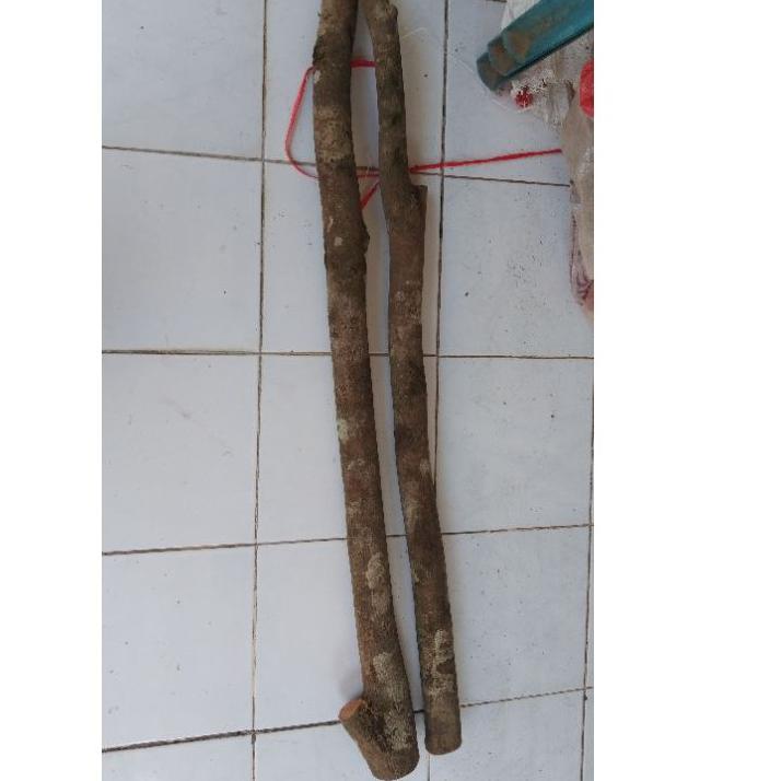 Jual teratas bahan kayu nagasari asli harga 1kg / tangkringan burung