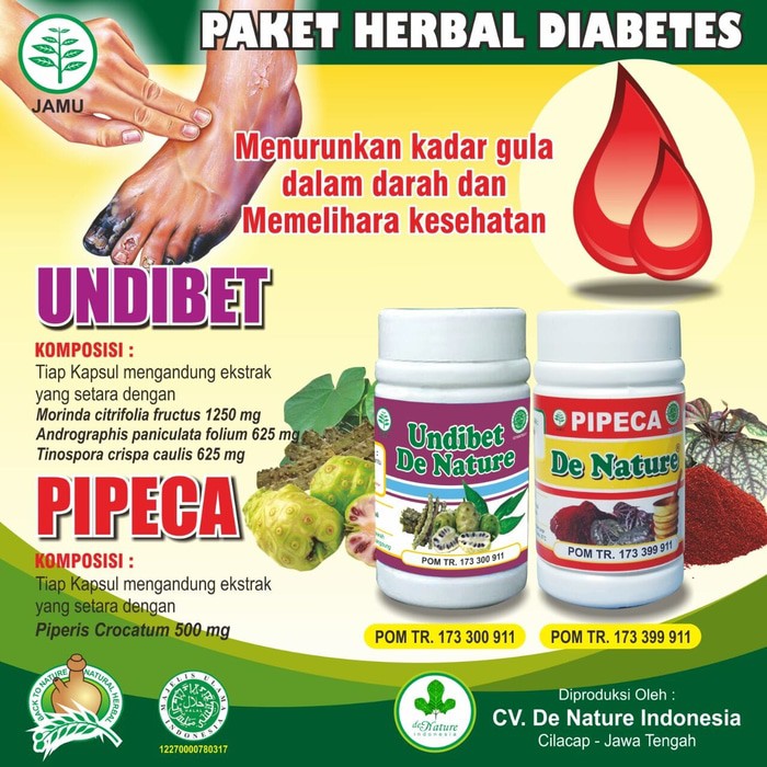 Obat Herbal Diabetes Terlaris Dan Paling Mujarab Berkhasiat Manjur
