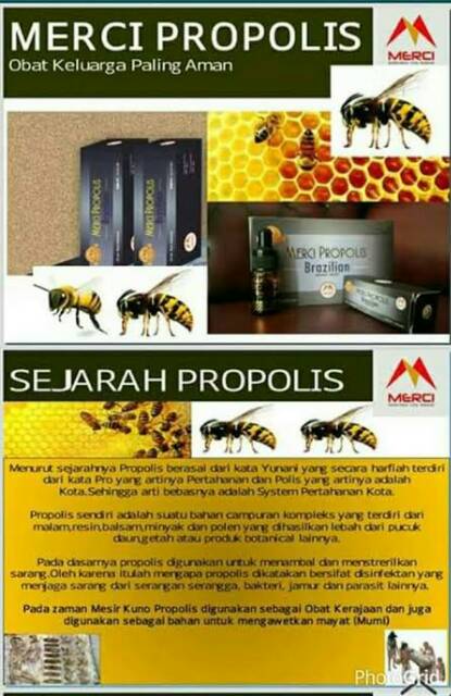 MERCI PROPOLIS | Shopee Indonesia