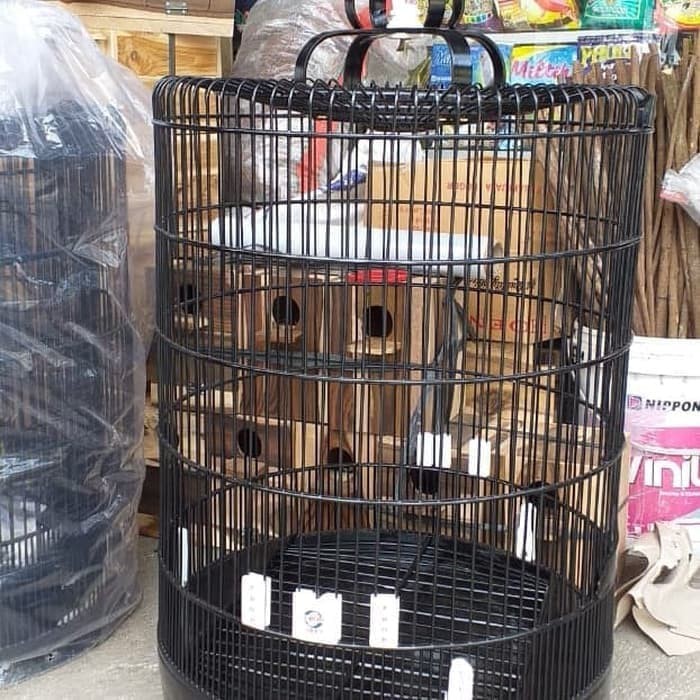 Apr 22, 1975 · ukuran diameter sangkar murai no 4 soalan bv kandang murai merk rafi jaya ukuran no 3 kandang burung. Kandang Burung Murai Ebod Jaya No 4 Original Shopee Indonesia