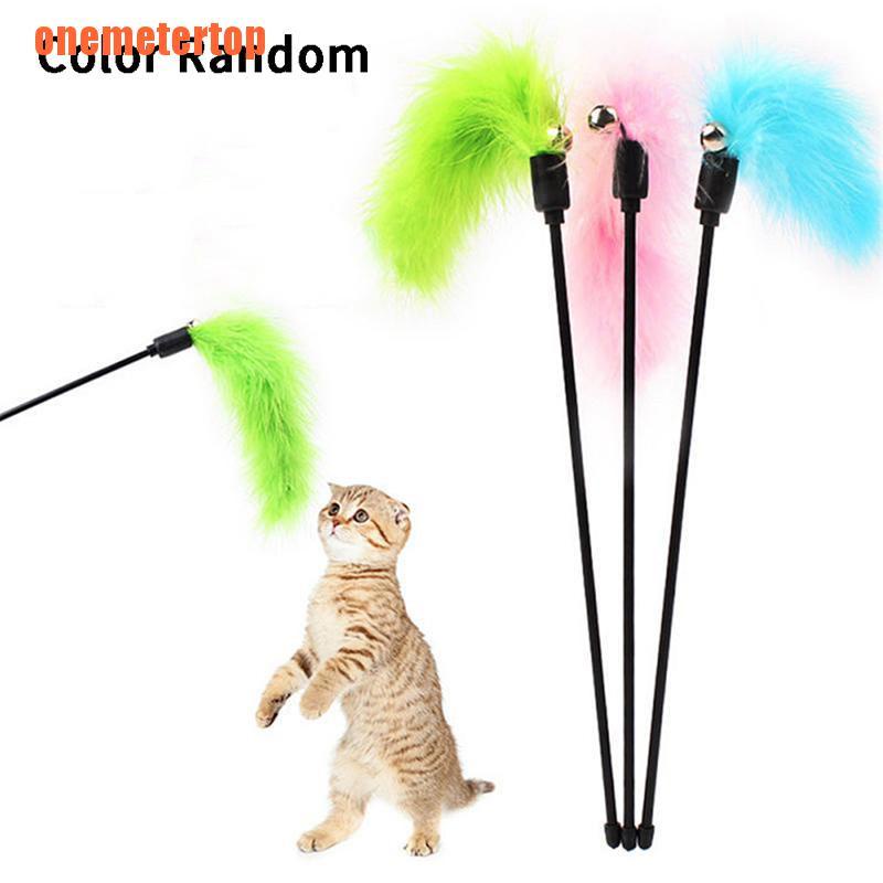 They’re fun for children and they liven up a home but they’re also a responsibility. Top Pet Cat Teasing Stick Pompom Feather Accessories Funny Kitten Interactive Shopee Indonesia