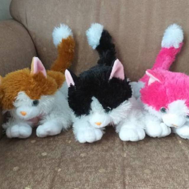 BONEKA KUCING LUCU | Shopee Indonesia