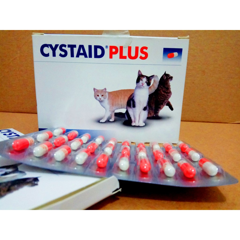 Penyebab saluran kencing bermasalah bisa beragam mulai dari berat badan berlebih hingga infeksi bakteri. Cystaid Plus Harga Per Kapsul Obat Untuk Masalah Saluran Kencing Pada Kucing Shopee Indonesia