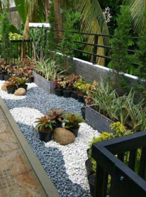 500gr Batu Koral Putih Murah / Batu Coral / Batu Taman | Batu Alam | Batu  Hias 500gram Batu Akuarium | Shopee Indonesia