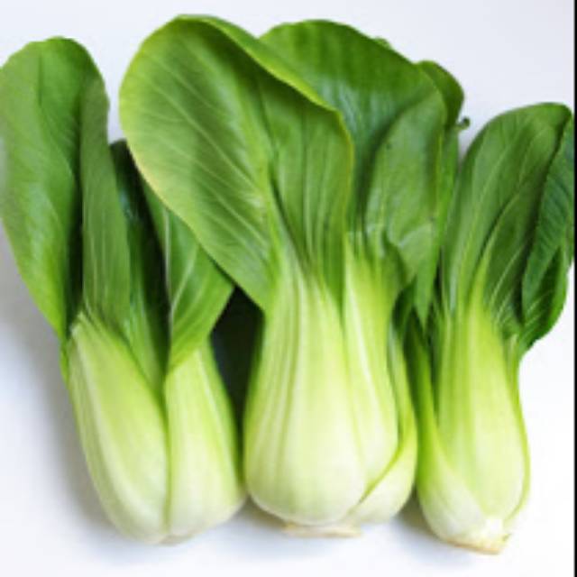 Jamur tiram 1 pcs rp 18.000. Pakcoy Sayur Pakcoy Per Ikat Shopee Indonesia