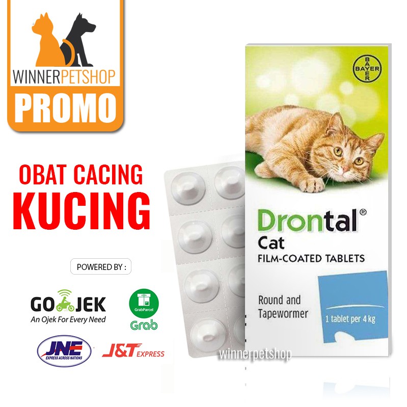 Itulah sebabnya dianjurkan untuk memberi obat cacing pada kucing dalam. Drontal Cat Obat Cacing Untuk Kucing Shopee Indonesia