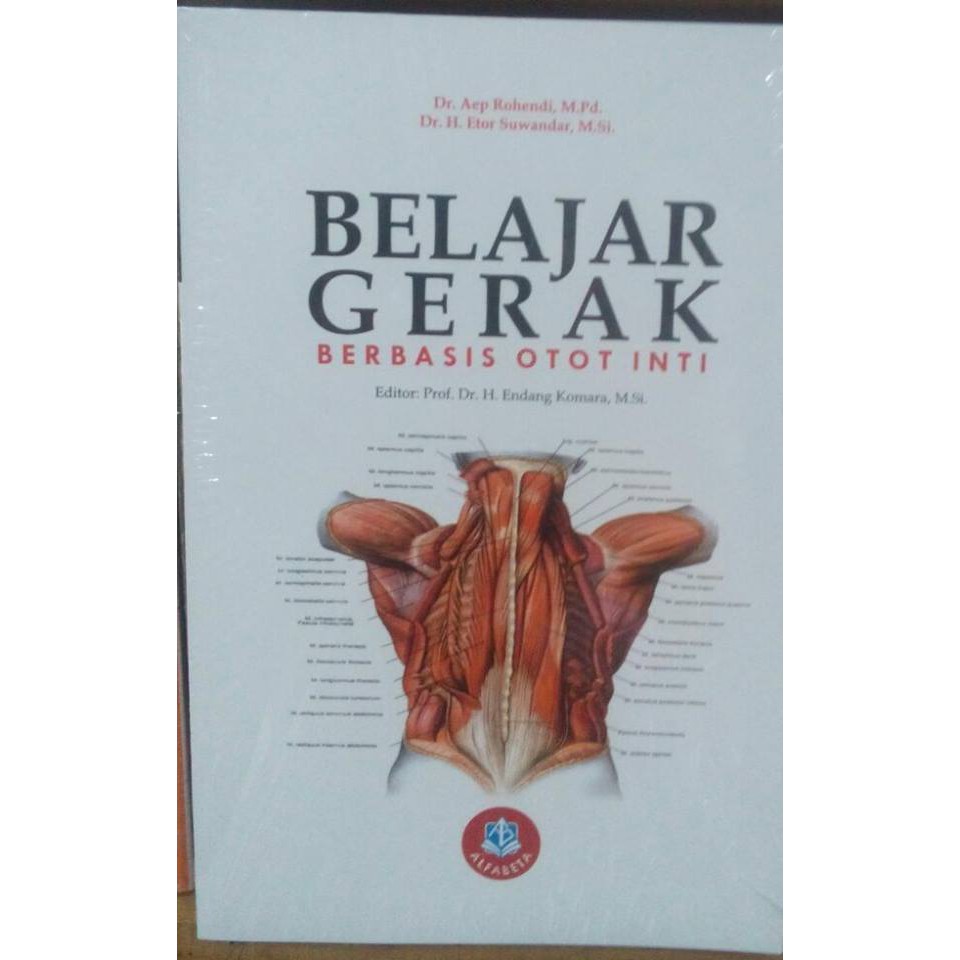 Sebagaimana yang dijelaskan oleh beberapa pakar, migrasi antarpulau tersebut sudah tentu. Belajar Gerak Berbasis Otot Inti Aep Rohendi Shopee Indonesia