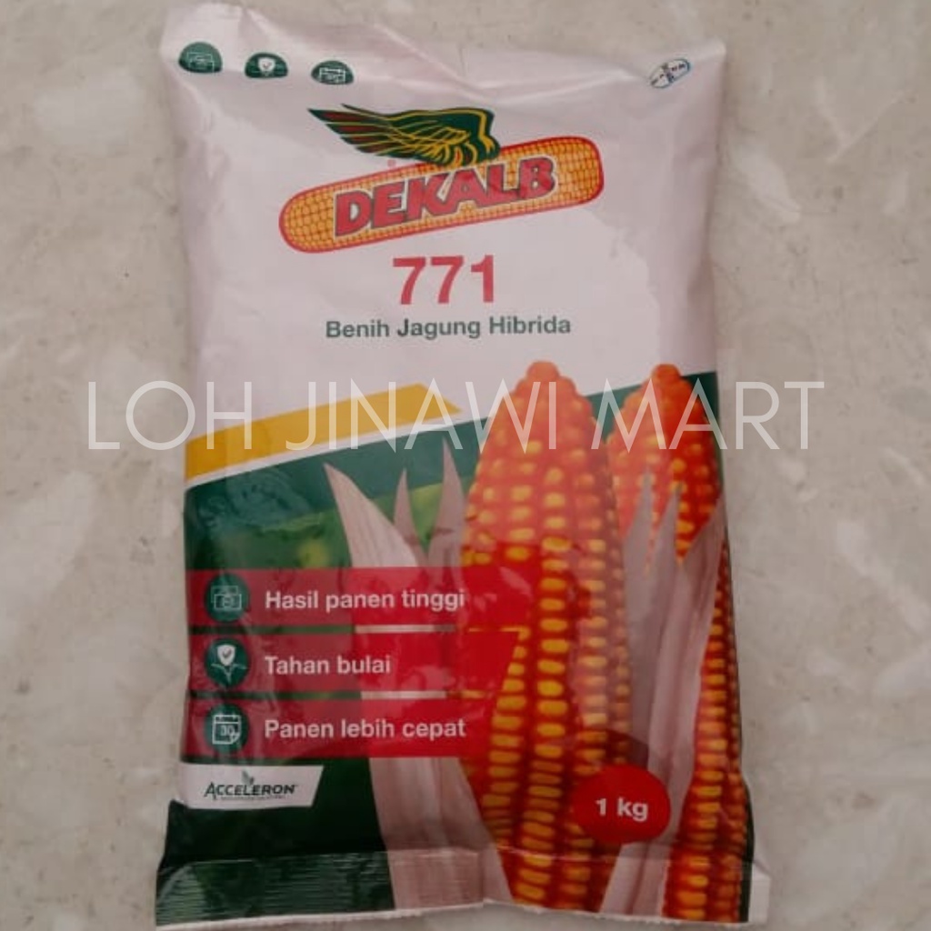 Benih jagung dk 771 adalah varietas yang baru dikenalkan yaitu dk 771 yang cocok untuk lahan basah, tahan bulai atau penyakit tanaman. Jual Benih Jagung Dk 771 1 Kg Indonesia Shopee Indonesia