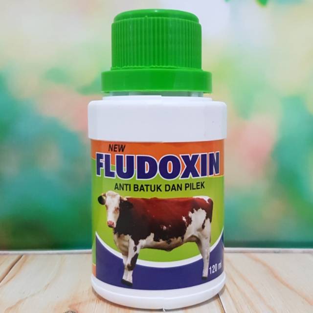 Show all · all · berita · big 5 · dunia sapi · edukasi · event · inspirasi · kesehatan · obat · pakan . Fludoxin 120ml Obat Flu Batuk Pilek Sapi Kerbau Kambing Domba Kuda Babi Shopee Indonesia