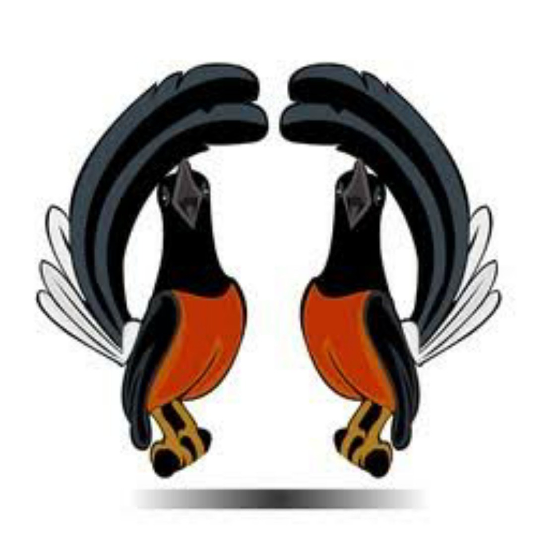 Jual Burung Murai Palangka Jantan Bagus! Indonesia|Shopee Indonesia 1125_X_1125_jpg